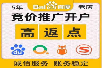 大型企业SEM外包实战案例